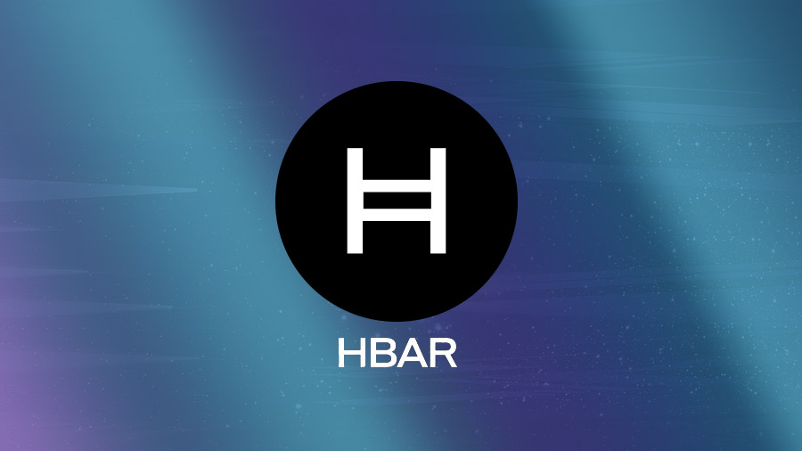 Swisscryptojay Krypto HBAR Hedera Coin Vorstellung Potential